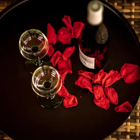 Industrie & - Romantique En Alsace - Privatif Et Garage Daire