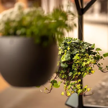 Industrie & - Romantique En Alsace - Privatif Et Garage *